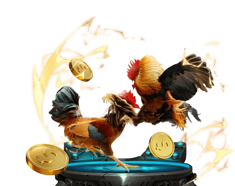 Giới thiệu về đá gà trực tuyến